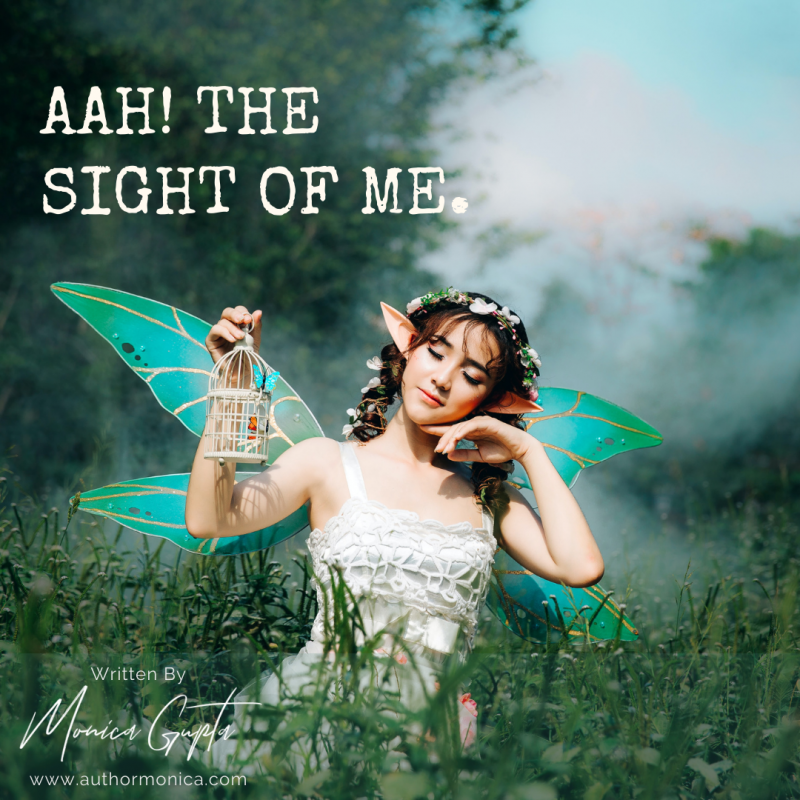 AAH! THE SIGHT OF ME.