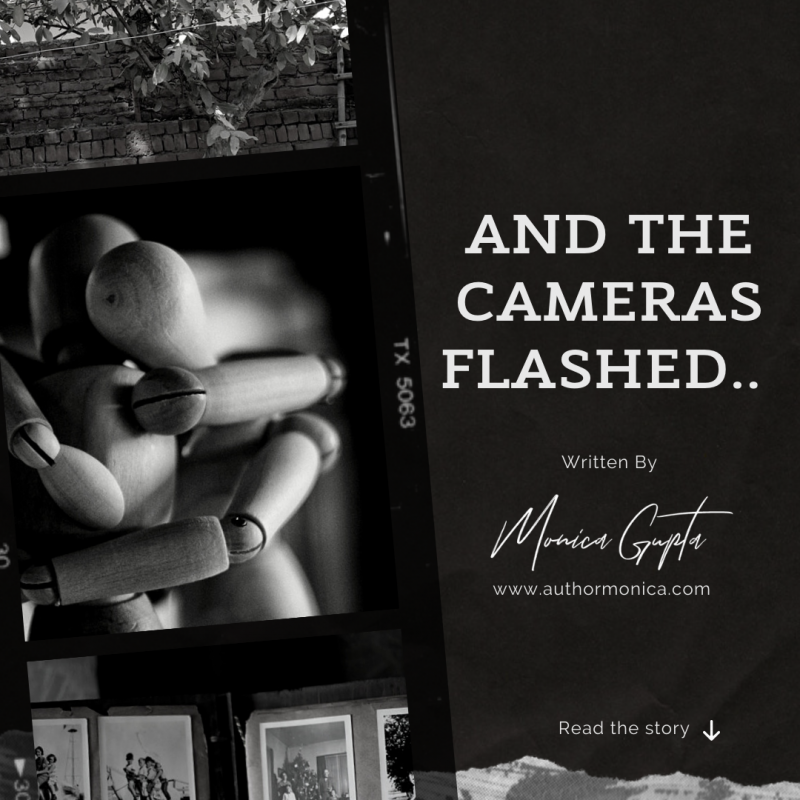 and the camers flashed